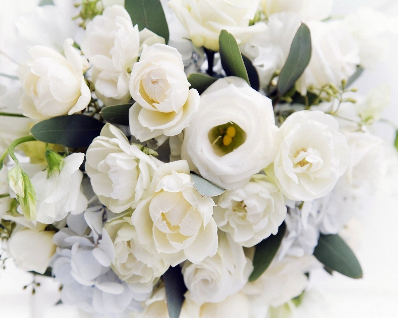 white floral bouquet