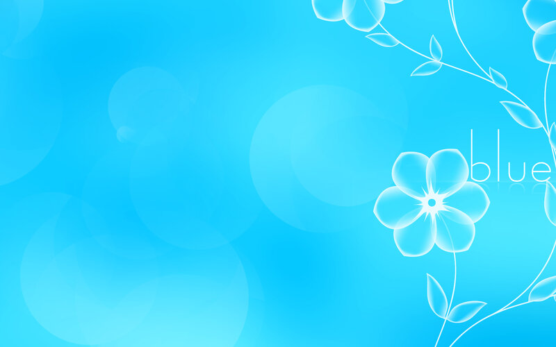 White Floral Design — Blue, Calm, Digital Art, Flowers, Leaves