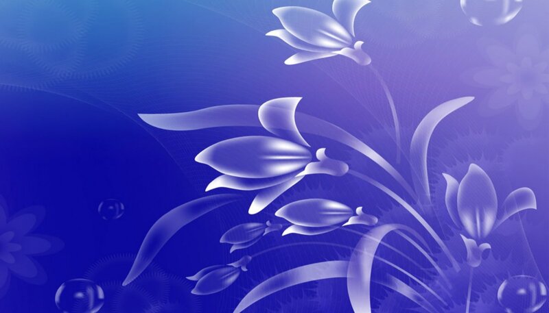 White Floral Design — Blue, Serene