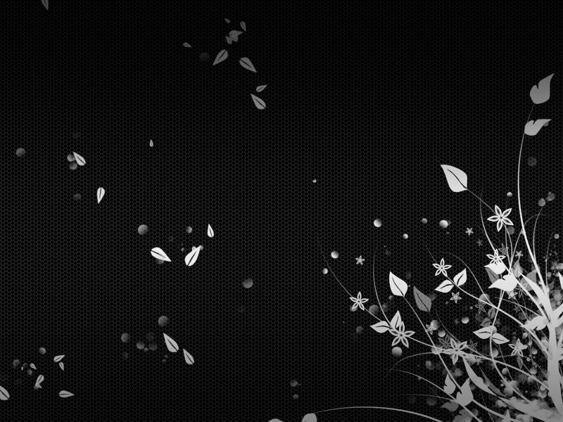 White Floral Pattern — Black, Calm, Digital Art