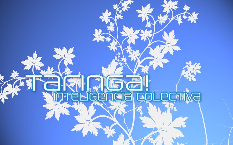 White Floral Pattern — Blue, Calm, Digital Art