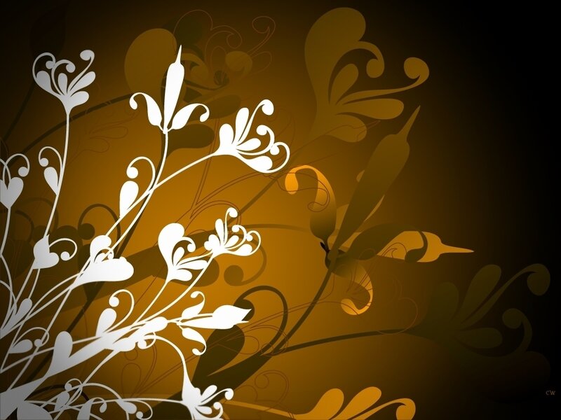 White Floral Pattern