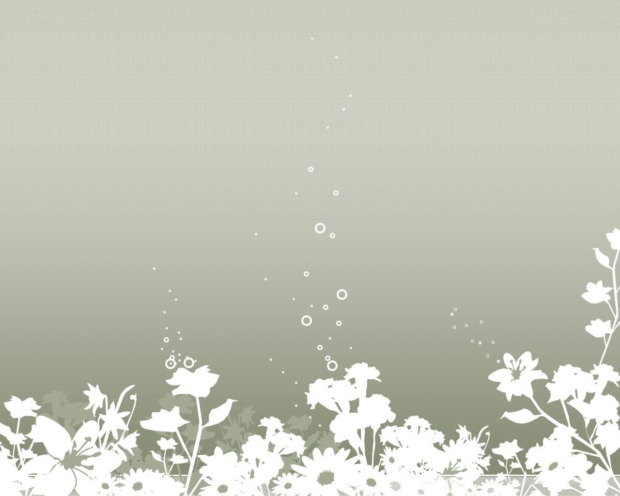 white floral silhouette background