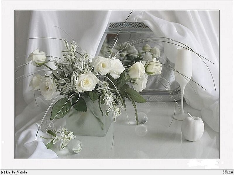 White floral still life