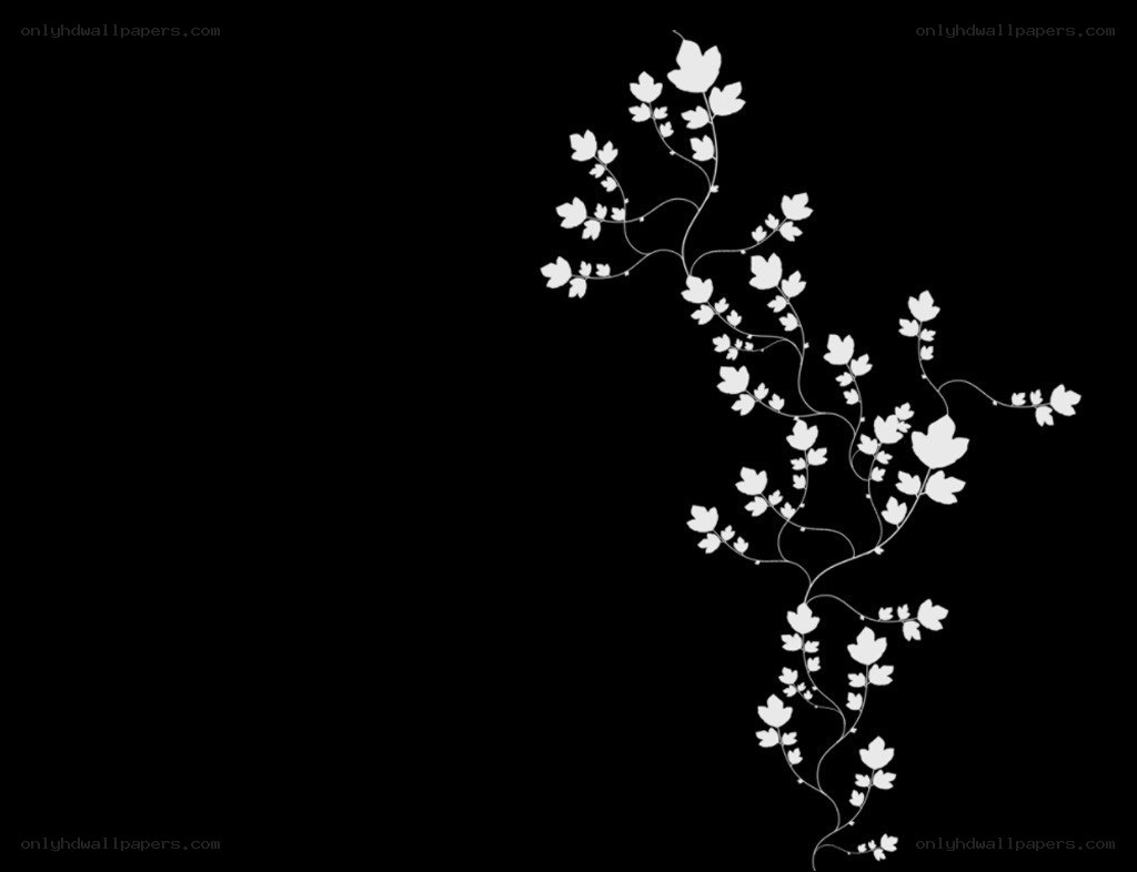 white floral vine on black