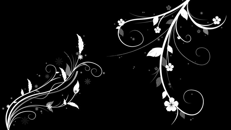 White Floral Vines on Black