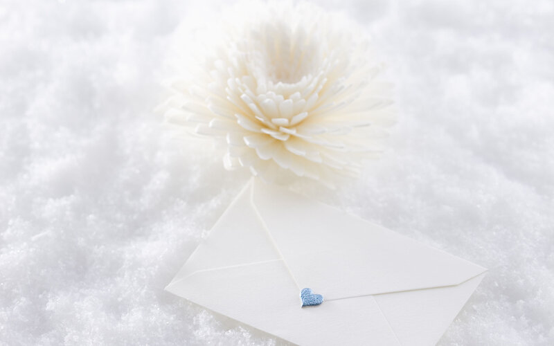 White Flower and Envelope