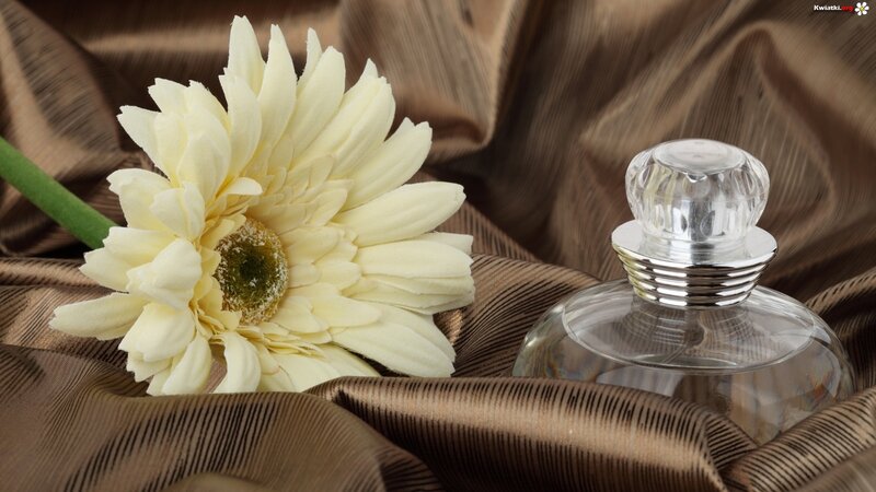 White Flower and Perfume Bottle — Brown