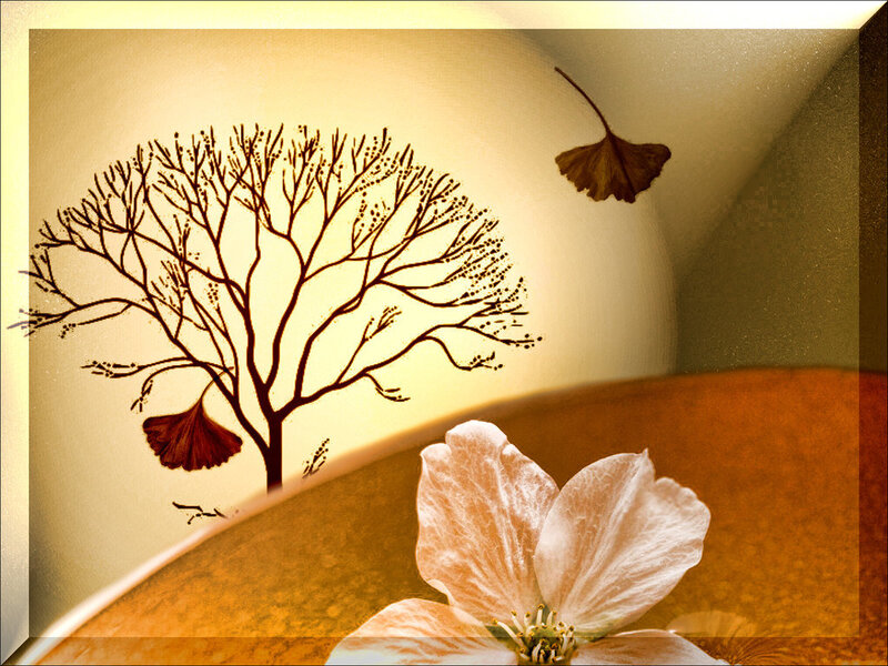 White Flower and Tree