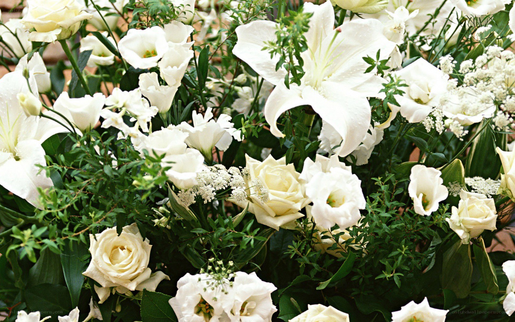white flower bouquet