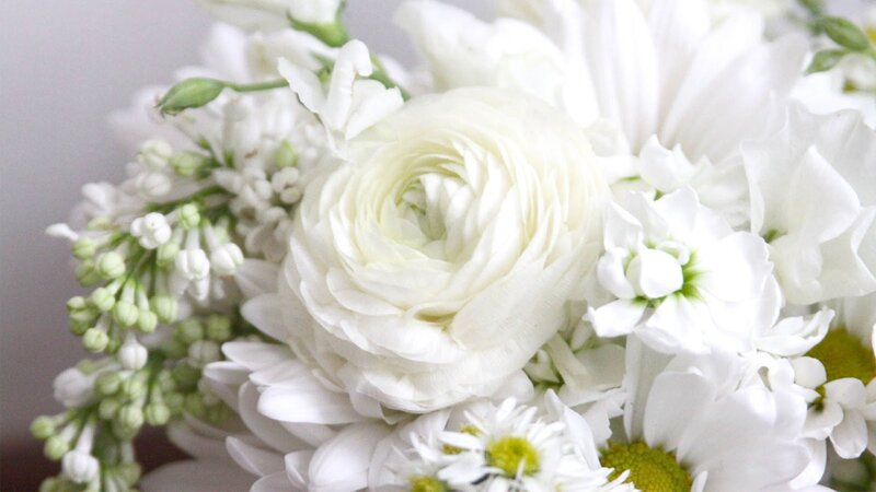 White Flower Bouquet — Calm, Photograph, Daisies
