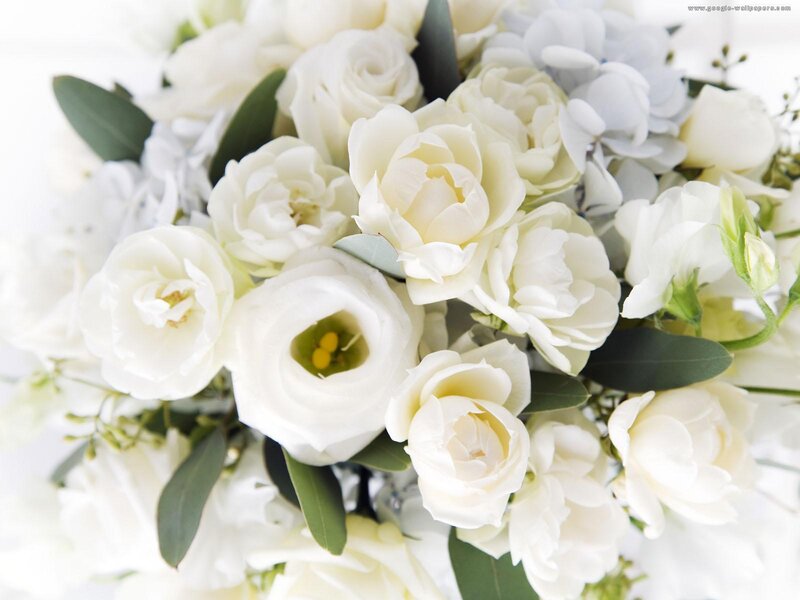 White Flower Bouquet — Serene