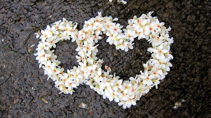 White Flower Heart