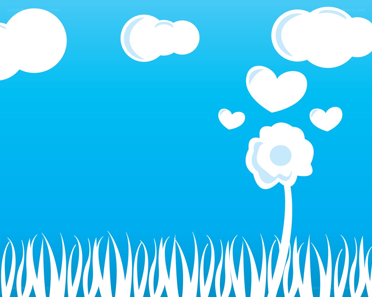 white flower in blue sky