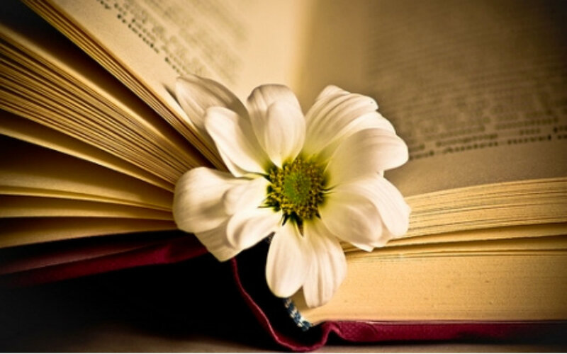 White Flower in Book