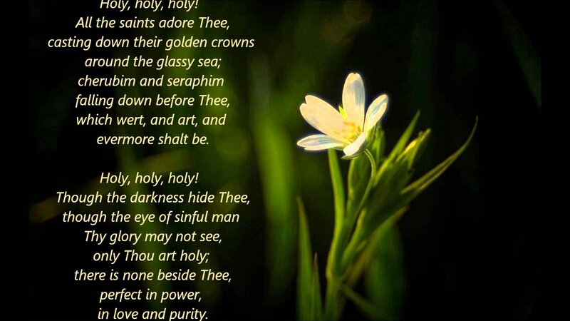 White Flower in Darkness