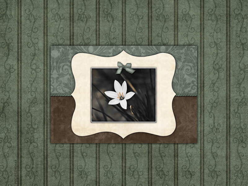 White Flower in Frame