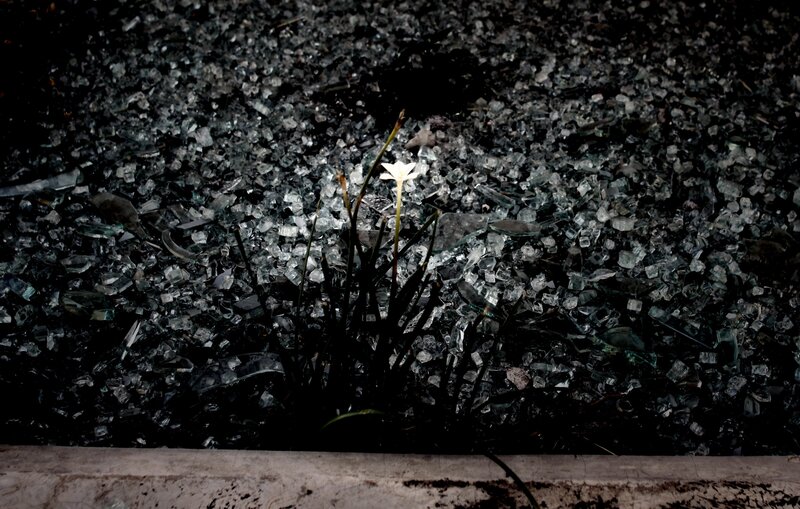 White Flower in Glass — Black