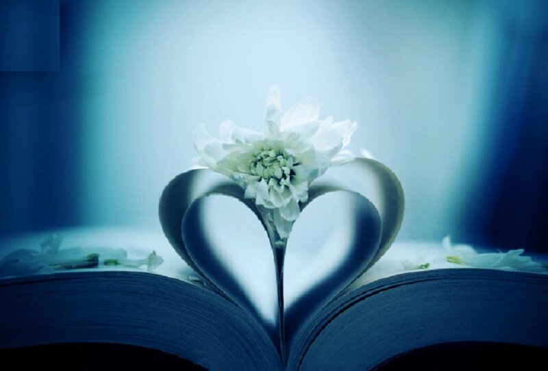 White Flower in Heart Book