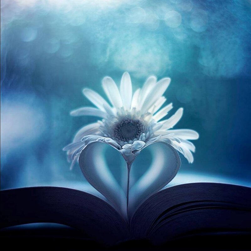 White Flower in Heart Shape