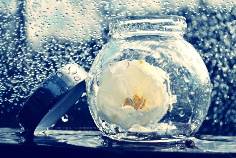 White Flower in Jar