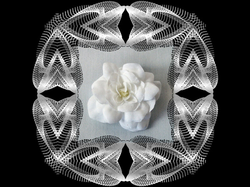 White Flower in Lace