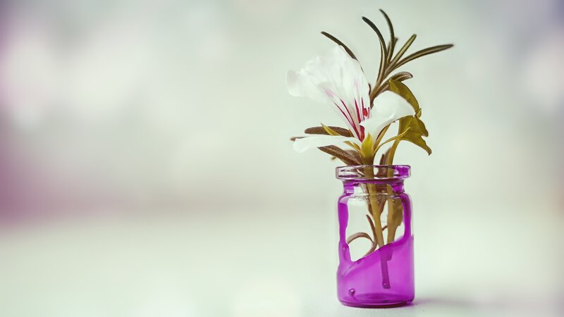 White Flower in Purple Vase