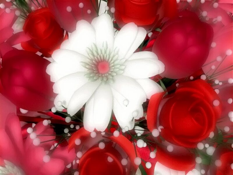 white flower in red bouquet