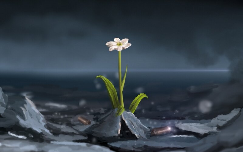 White Flower in Rubble — Gray, Dramatic, Night