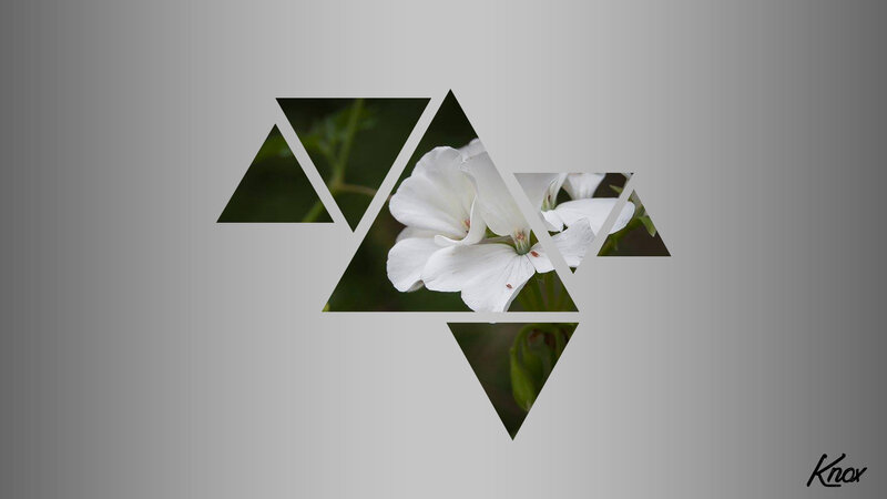 White Flower in Triangles