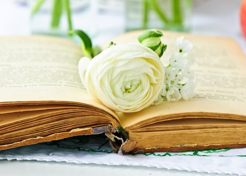 White Flower on Book — Serene, Photograph, Tablecloth