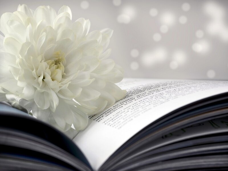 White Flower on Book — Serene, Photograph
