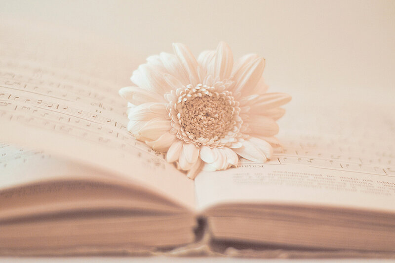 White Flower on Book
