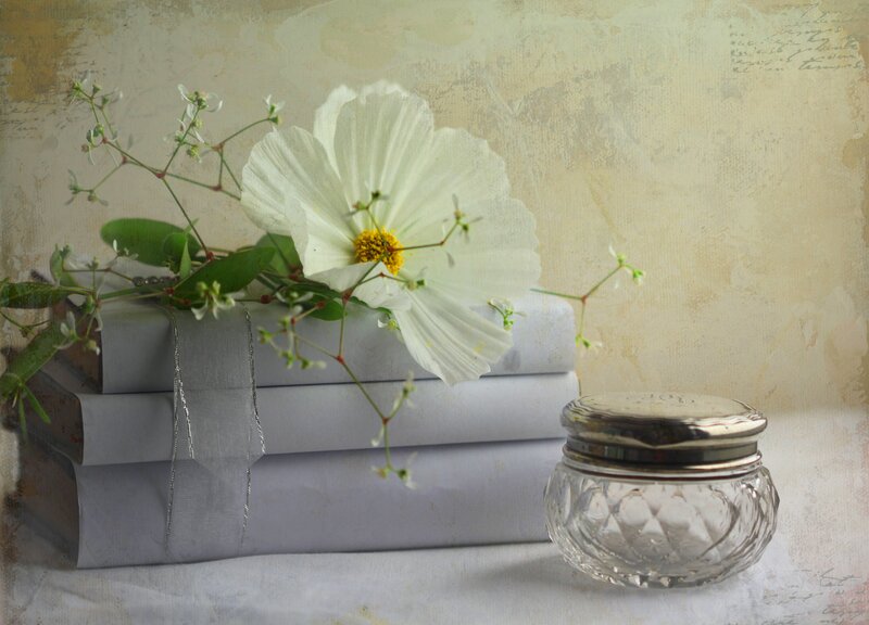 White Flower on Books