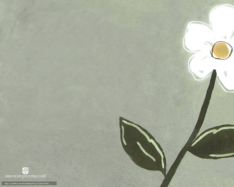 white flower on gray background