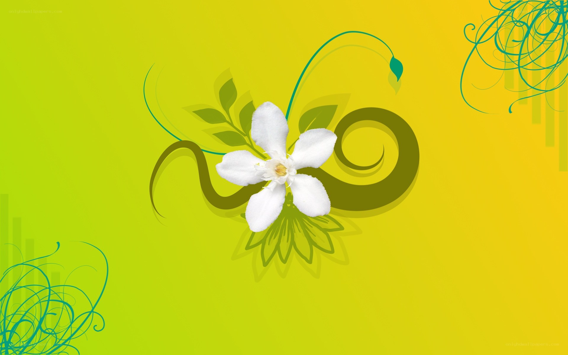 white flower on green background