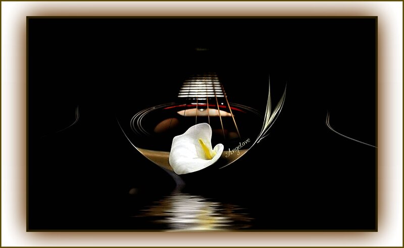 White Flower on Guitar