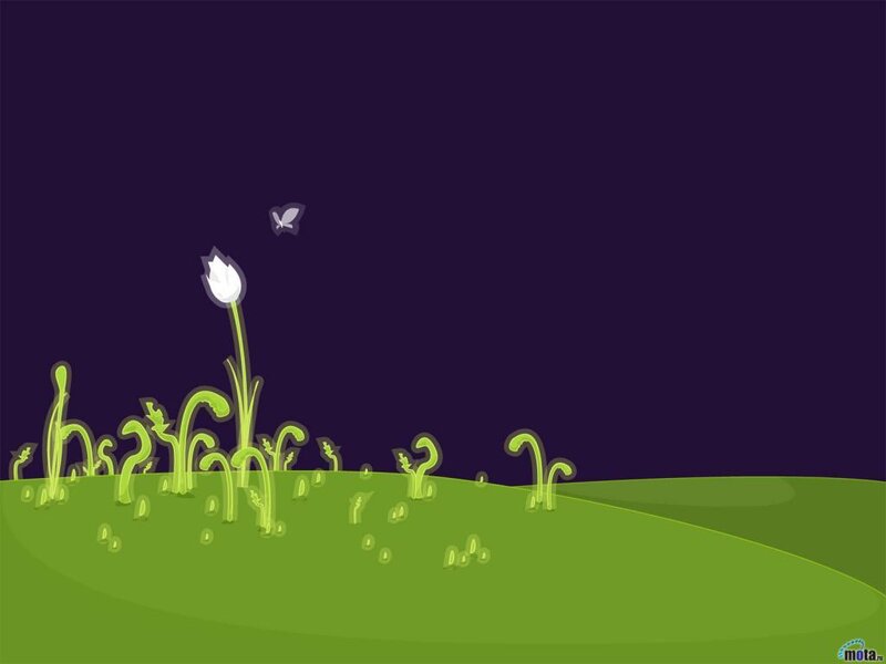 White Flower on Hill