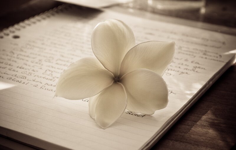 White Flower on Notebook