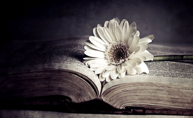 white flower on open book