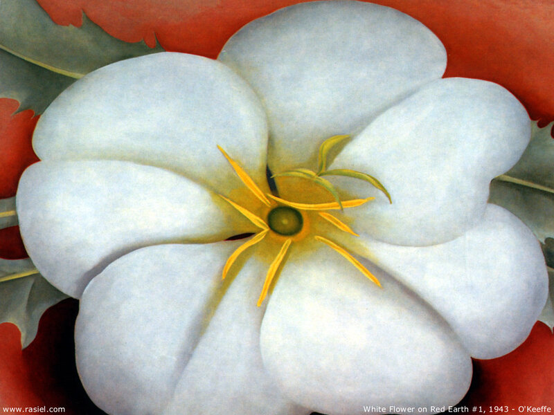 White Flower on Red Earth