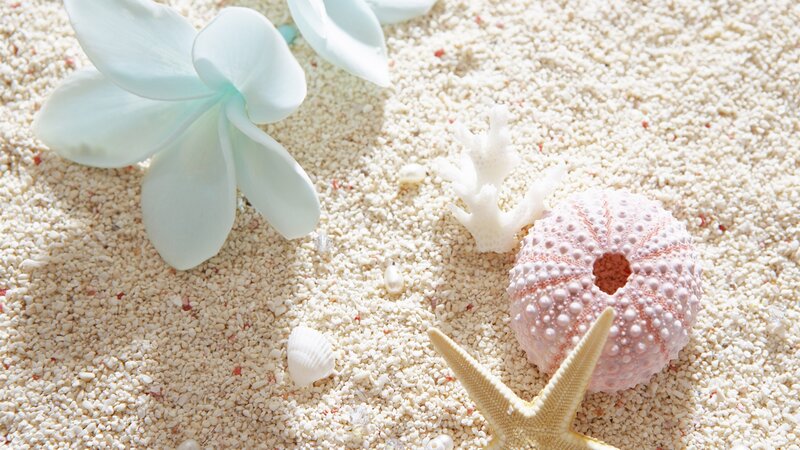 White Flower on Sand — Serene