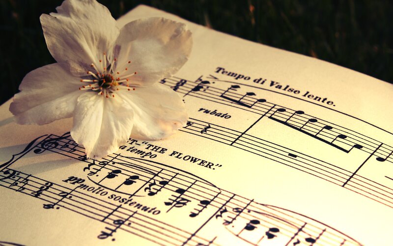 White Flower on Sheet Music — Serene