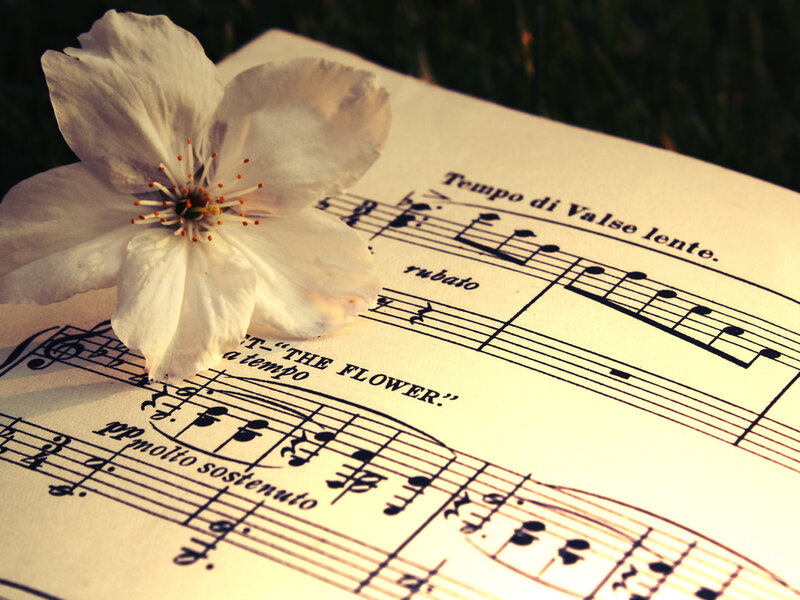 White Flower on Sheet Music