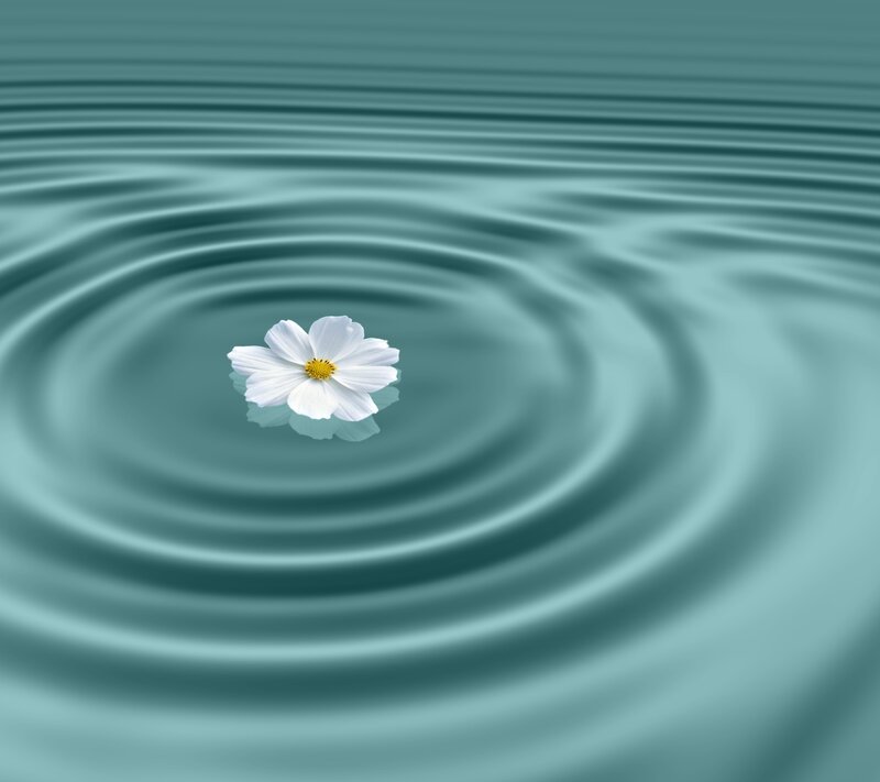 White Flower on Water — Teal
