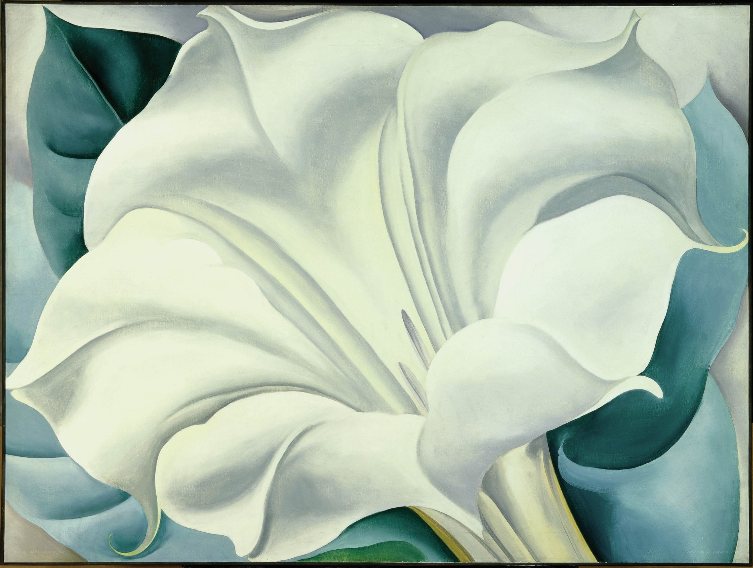 White Flower Painting