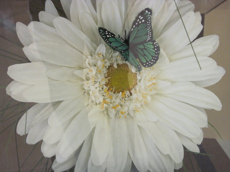 White Flower with Butterfly