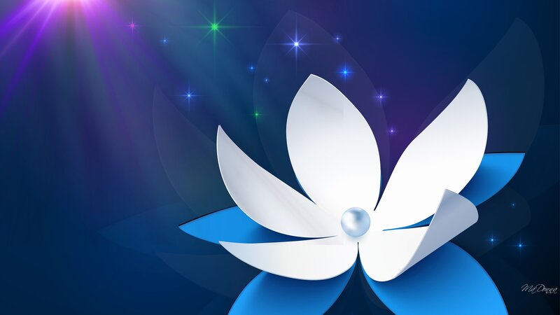 White Flower with Pearl
