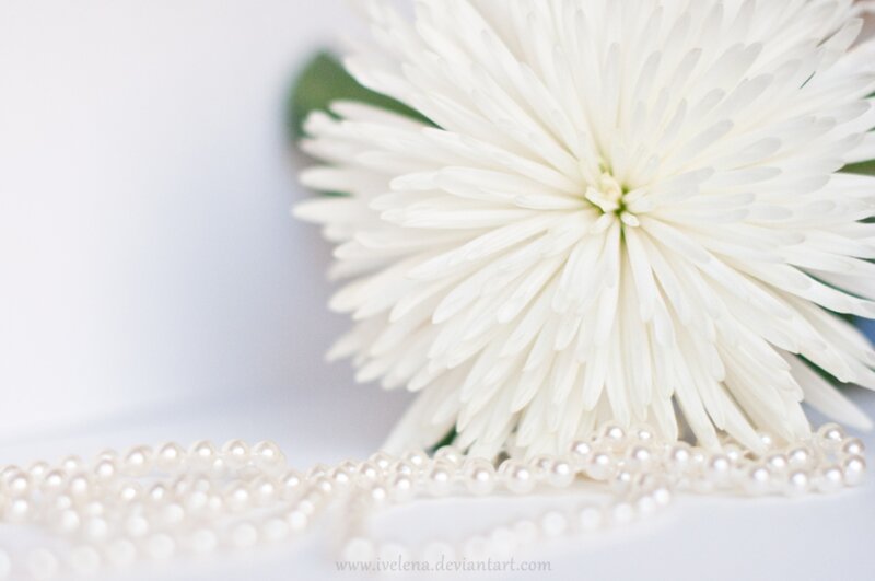 White Flower with Pearls