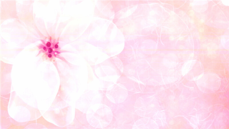 White Flower with Pink Center — Dreamy